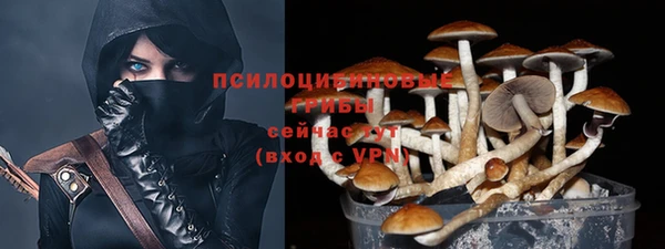 МДПВ Няндома