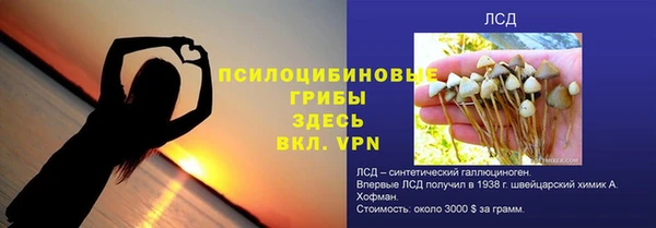 винт Бронницы