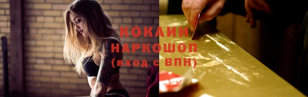 МДПВ Няндома