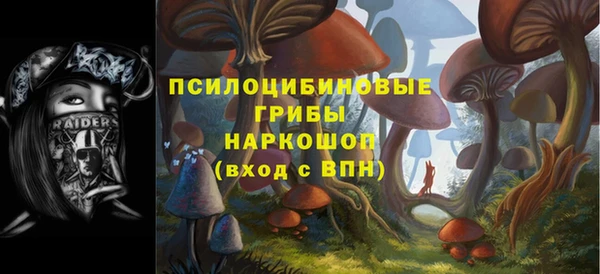 МДПВ Няндома